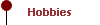  Hobbies 